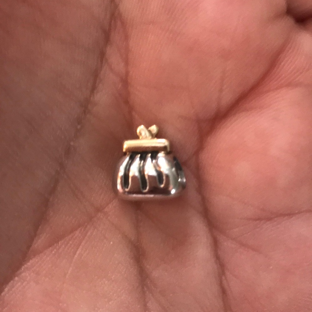 Two Tone Pandora Charm⭐️Retired⭐️